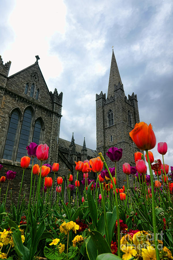 Saint Patrick Cathedral Spring Photograph by Olivier Le Queinec