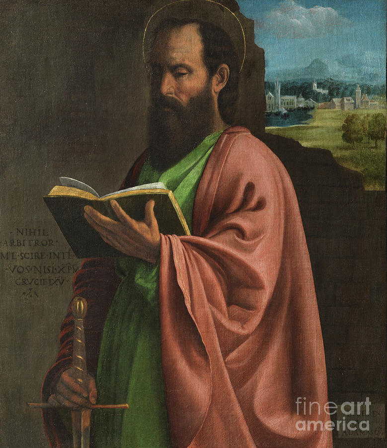 Saint Paul Painting by Italian School