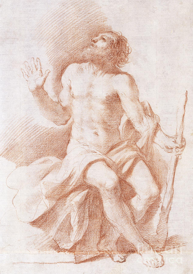 Saint Paul The Hermit, Looking Up To The Left And Holding A Stick, C.1637-8 Drawing by Guercino