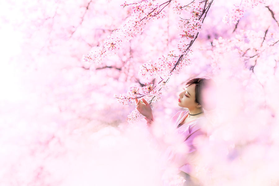 Flower Photograph - Sakura by Masatoshi Washimi