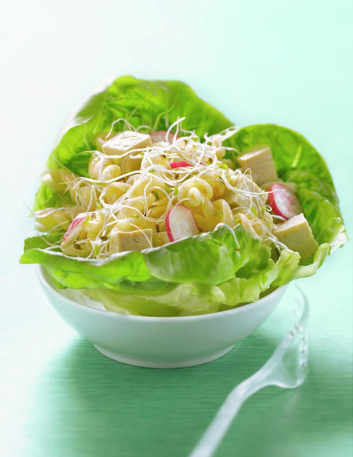 Lettuce Photograph - Salade De Pates De Ble Complet Au Tofu, Alfalfa Et Radis Wholemeal Wheat Pasta ,tofu,alfafa And Radish Salad by Studio - Photocuisine