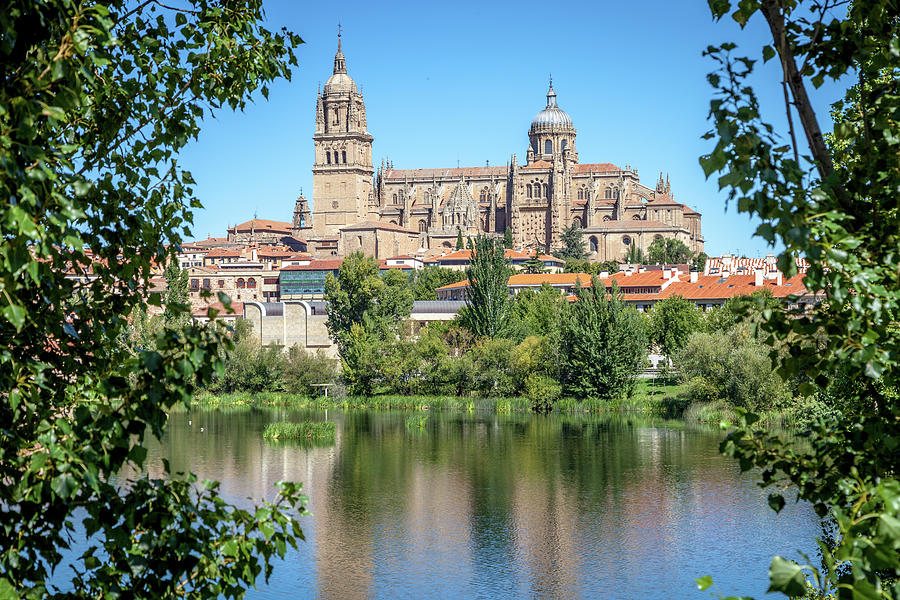 Salamanca Cathedral from across the Tormes River Photograph by W Chris Fooshee