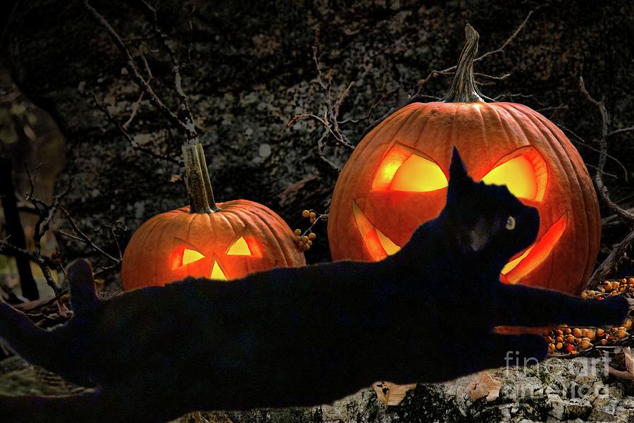 Salem and the Jack O Lanterns Photograph by Janette Boyd