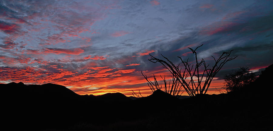 Salero Sunset #16 Photograph by Tom Daniel