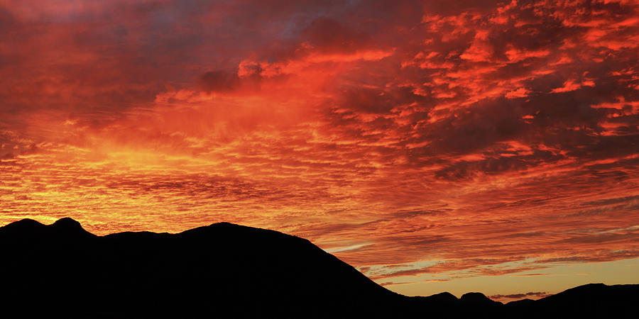 Salero Sunset #2 Photograph by Tom Daniel
