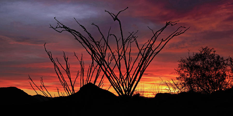 Salero Sunset #9 Photograph by Tom Daniel