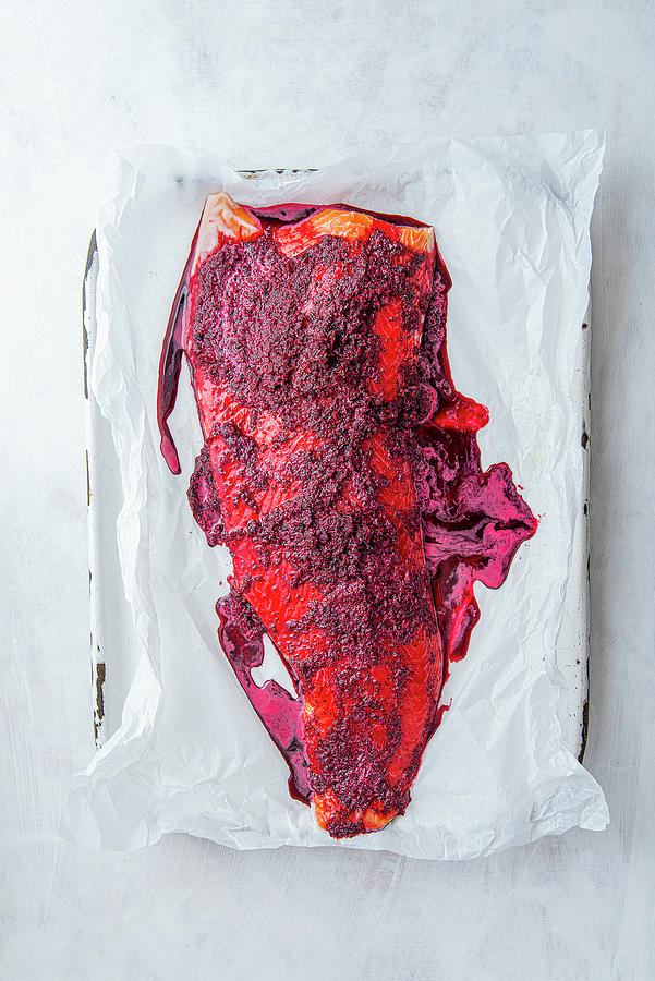 Salmon Fillet In A Gravlax Marinade Ready To Be Cured Photograph by Magdalena Hendey