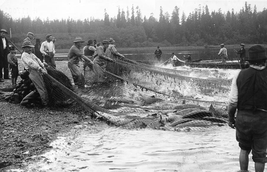 Salmon Photograph - Salmon Fishing by A. Bayley-worthington