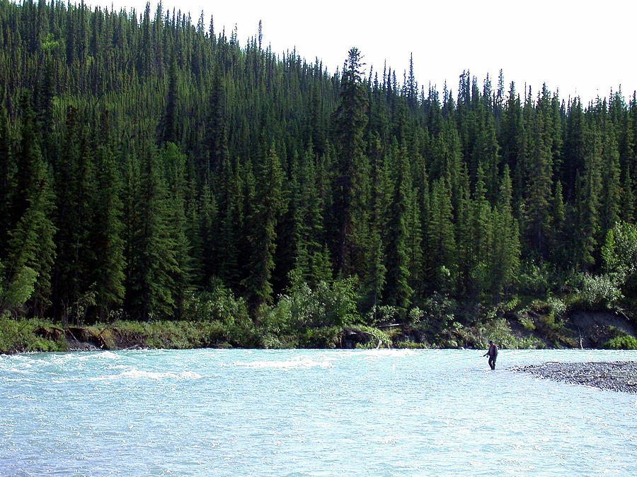 Salmon Fishing in Alaska Photograph by Mark Duehmig