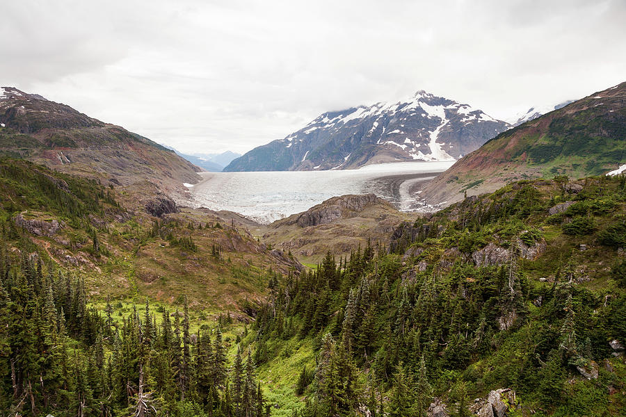 Salmon Glacier Photograph by Adrian Studer