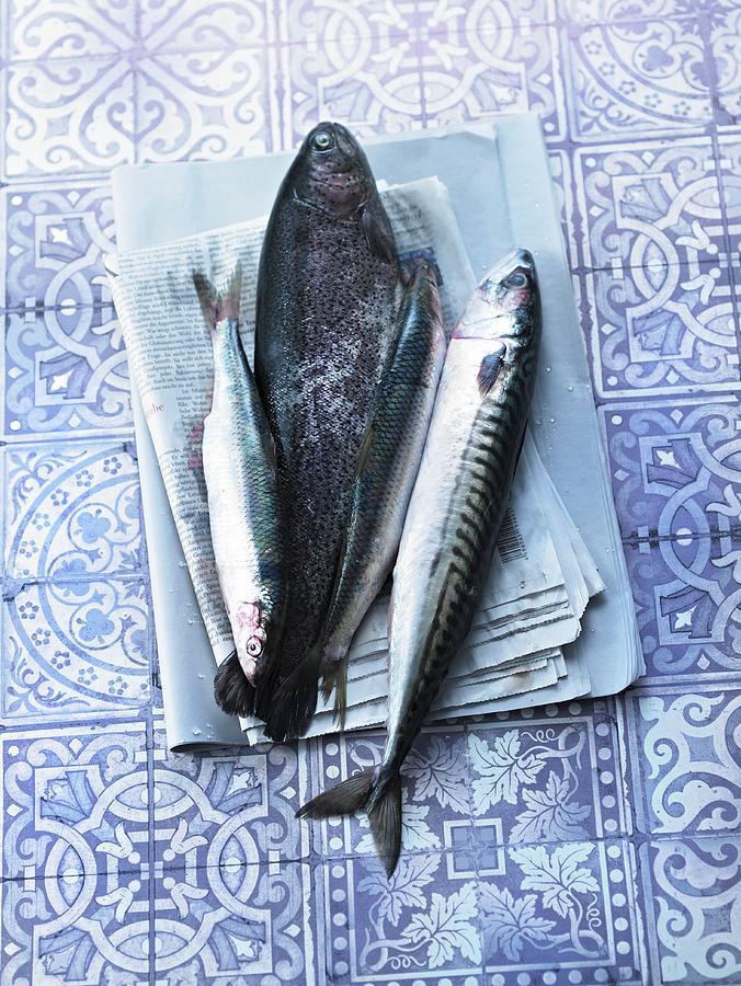 Salmon, Mackerel And Herring On A Newspaper Photograph by Jalag / Wolfgang Kowall