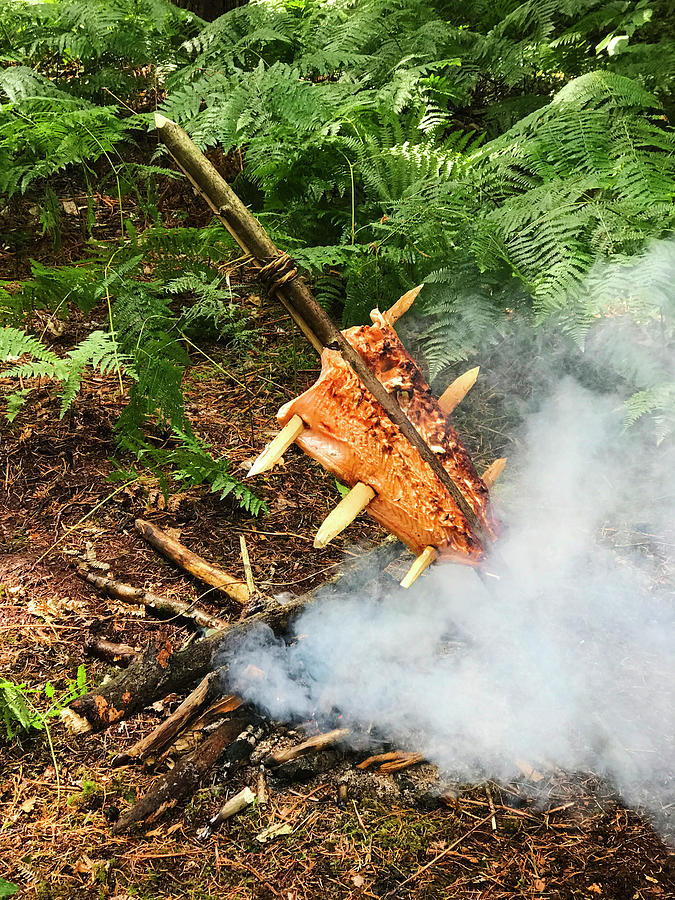 Salmon On Fire In Woods Photograph by Hugh Johnson