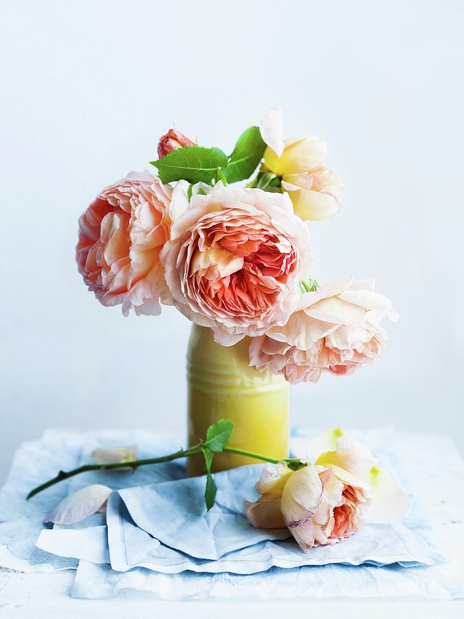 Salmon-pink Roses In Yellow Vase Photograph by Ira Leoni
