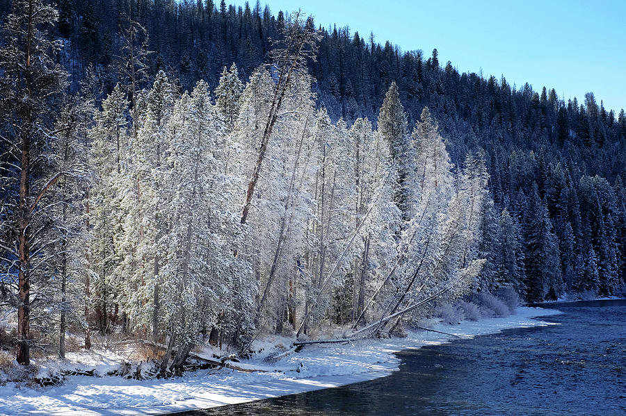Salmon River In Central Idaho - Winter Photograph by Theodore Clutter