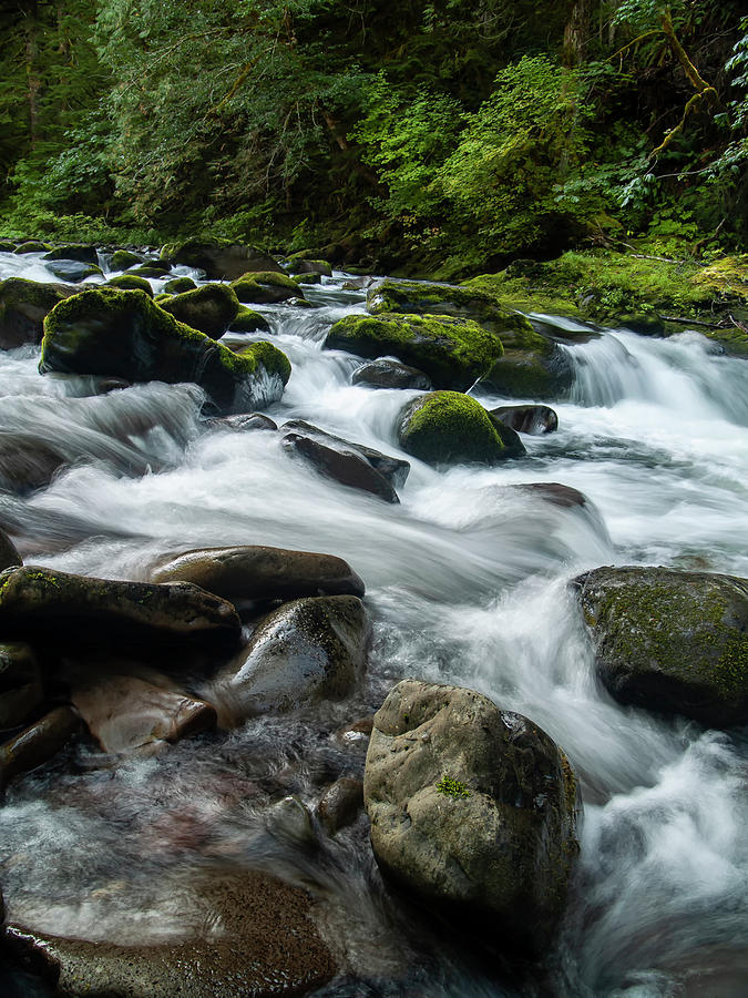 Salmon River Rapids by Steven Clark Salmon River Rapids by Steven Clark