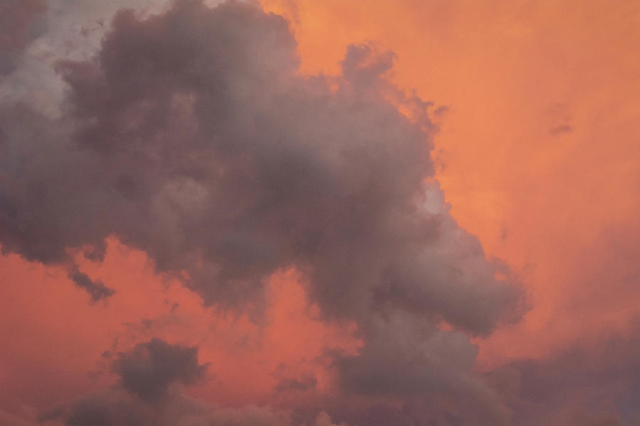 Salmon sky by Kathleen Gauthier Salmon sky by Kathleen Gauthier
