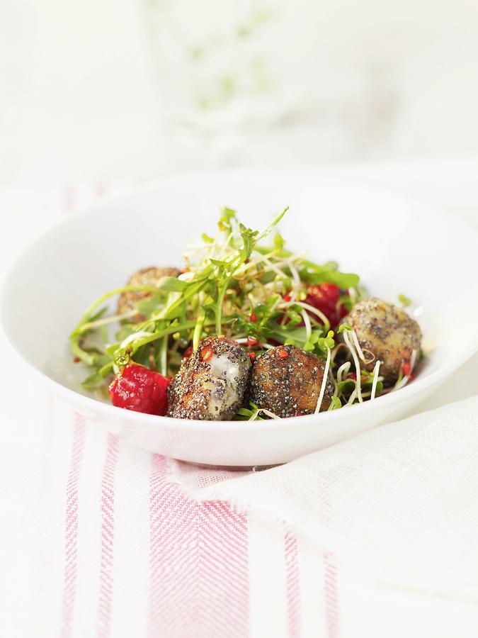 Salt Cod Fish Balls With Poppyseeds And Mixed Vitamin Salad Photograph by Norris
