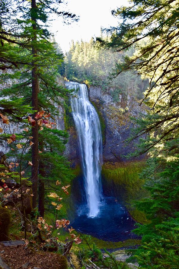 Salt Creek Falls in Autumn Photograph by Dana Hardy - Fine Art America