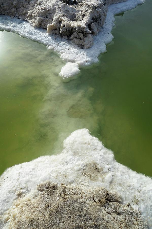 Beach Photograph - Salt Deposits Round Dead Sea Sink Hole by Science Photo Library