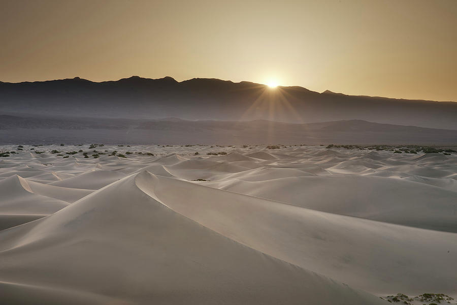 Salt Flat & Sand Dunes Digital Art by Massimo Ripani