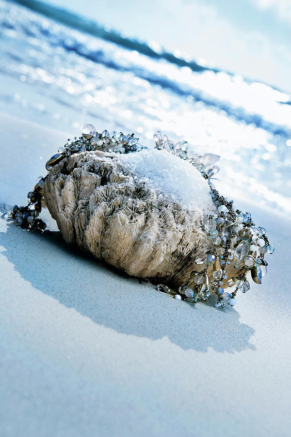 Nature Photograph - Salt In A Barnacle On Beach Near The Sea by Jalag / Sabine Liewald