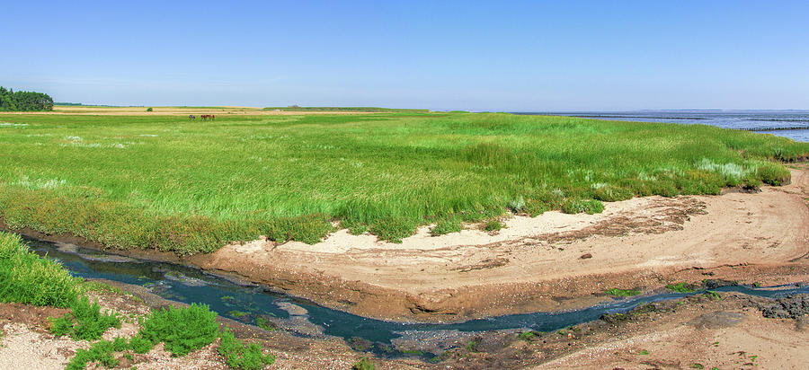 Salt marsh on Amrum Photograph by Sun Travels