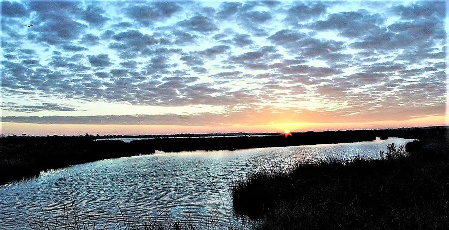 Salt Marsh Sunrise Photograph by John Glass