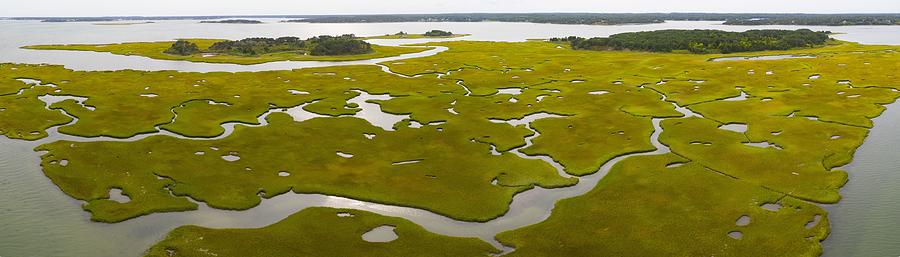 Nature Photograph - Salt Marshes And Estuaries Are Found by Ethan Daniels