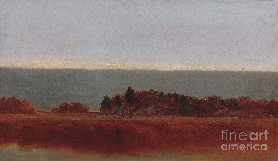 Salt Meadow In October Drawing by Heritage Images