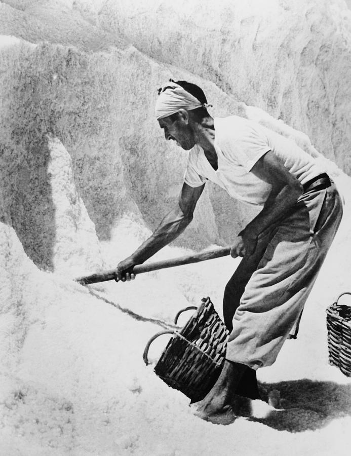 Salt Production In Sardinia In 1951 Photograph by Keystone-france