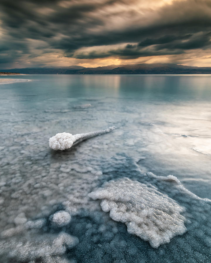 Salt Tadpole Photograph by Amir Ehrlich