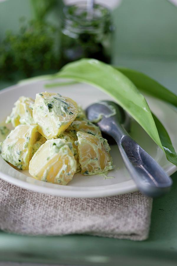 Salted Potatoes With A Wild Garlic Cream Photograph by Martina Schindler