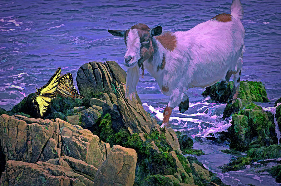 Saltwater Goat 7  Mixed Media by Lynda Lehmann