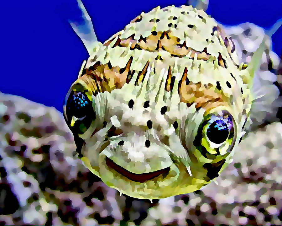 Fish Mixed Media - Saltwater Porcupinefish by Marvin Blaine