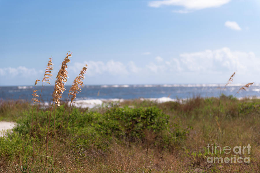 Salty Island Breeze over Breach Inlet Photograph by Dale Powell