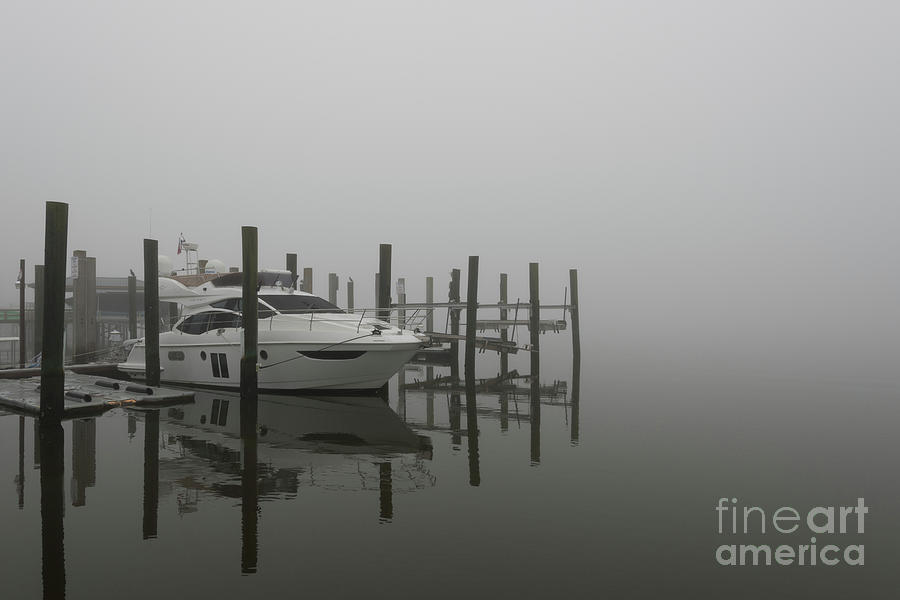 Salty Southern Fog Photograph by Dale Powell