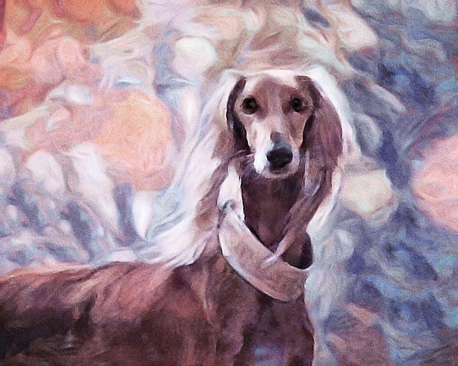 Dog Painting - Saluki by Susan Maxwell Schmidt