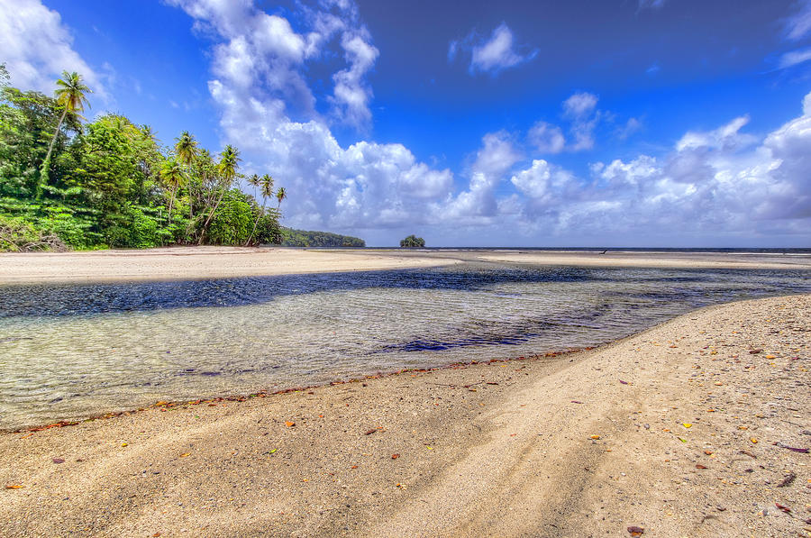 Salybia River Meets The Sea Photograph by Nadia Sanowar