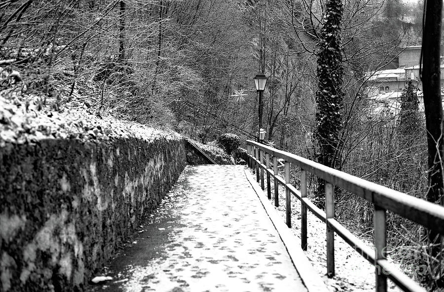 Nature Photograph - Salzburg Snow on the Path by John Rizzuto