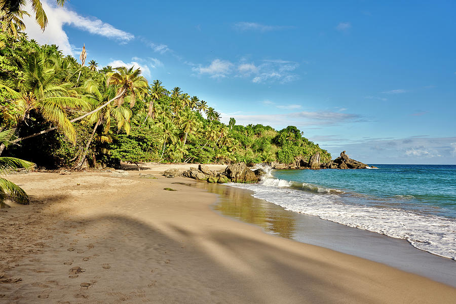 Samana Bay, Dominican Republic, Central America Photograph by Stephan ...