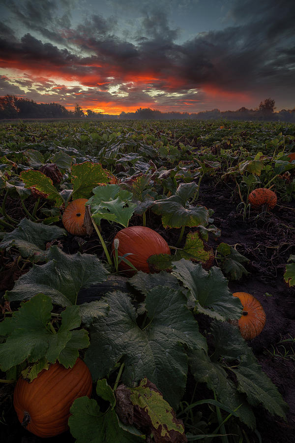 Samhain Photograph by Aaron J Groen