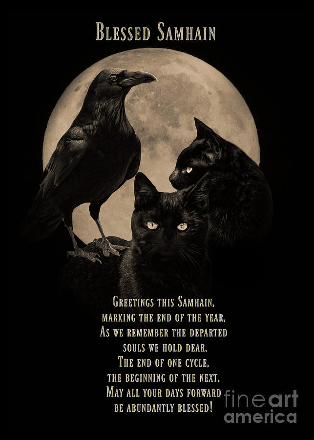 Samhain, Blessed Samhain Raven, Moon and Black Cats Photograph by Stephanie Laird