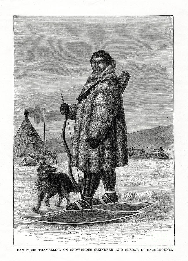 Samoyede Travelling On Snow-shoes Drawing by Print Collector