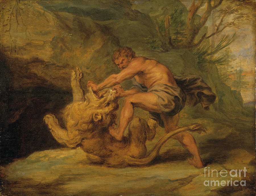 Samson And The Lion, C.1640 Painting by Peter Paul Rubens