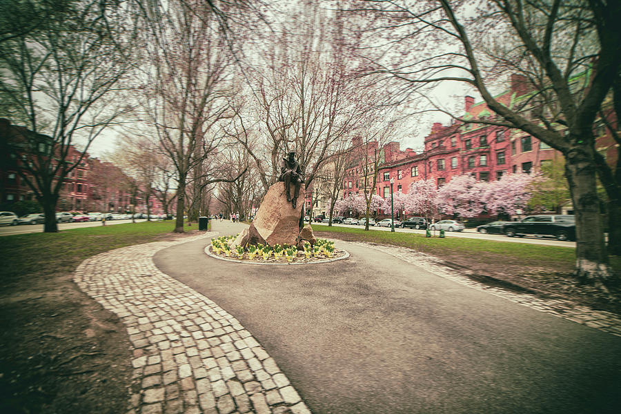 Samuel Eliot Morison Sculpture - Boston Photograph by Joann Vitali