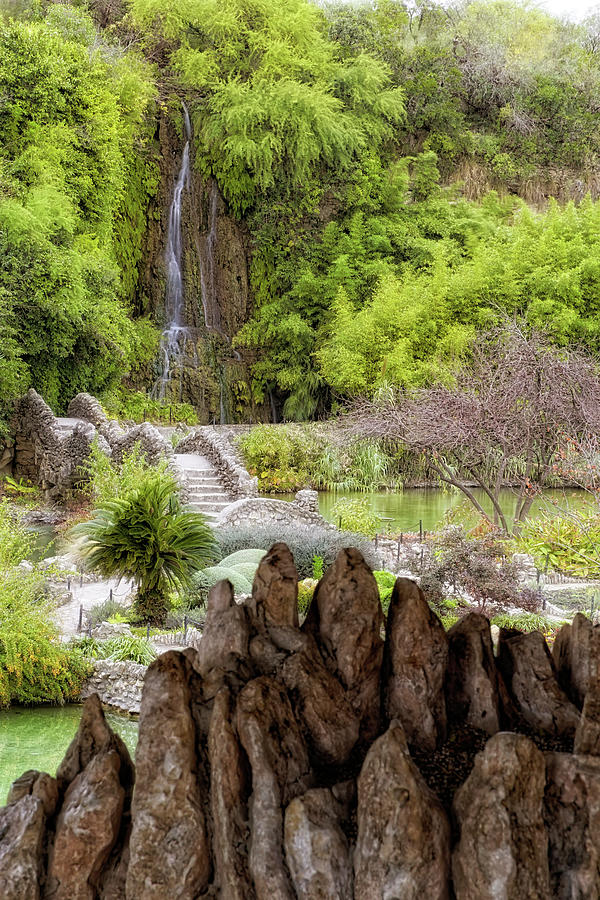 San Antonio Japanese Tea Garden Texas Waterfall Photograph By