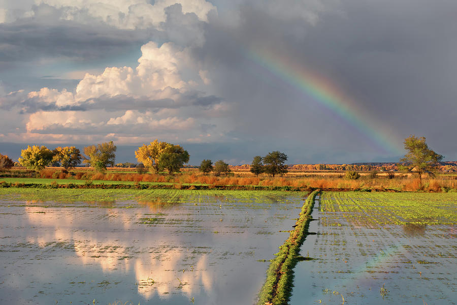 San Antonio Rainbow Photograph by Kathleen Bishop