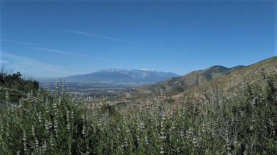 San Bernardino California And Big Bear Mountain Photograph by Michael Hoard