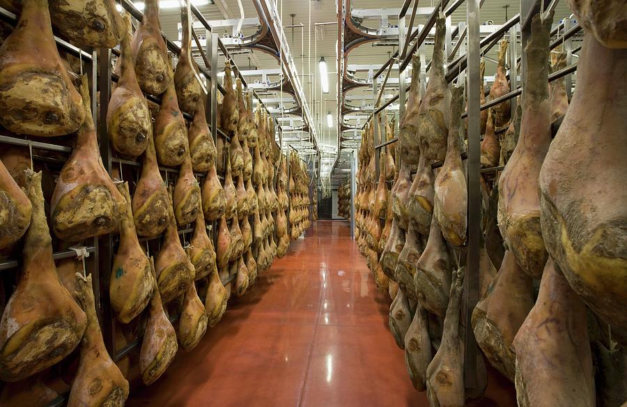 San Daniele Ham Hanging To Dry Photograph by Petter Oftedal