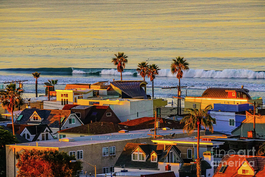 San Diego Beach Photograph by Darcy Dietrich